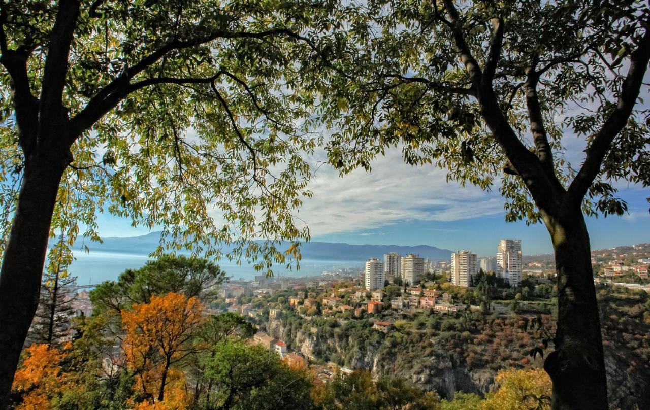 Kuca Za Odmor Villa Curlylocs - Vila Kosjenka Viskovo Dış mekan fotoğraf